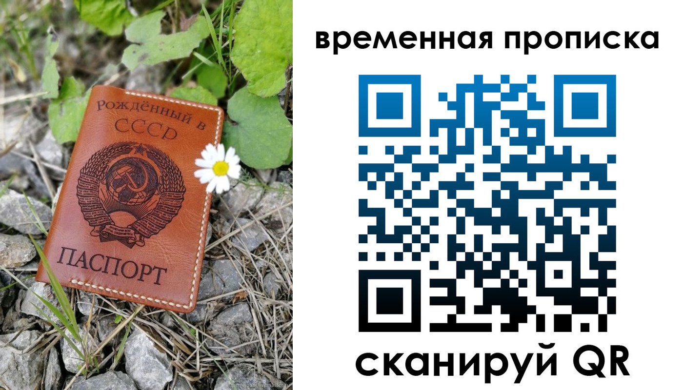 временная регистрация поиск в Чапаевске